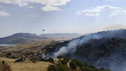 Adıyaman'da orman yangını
