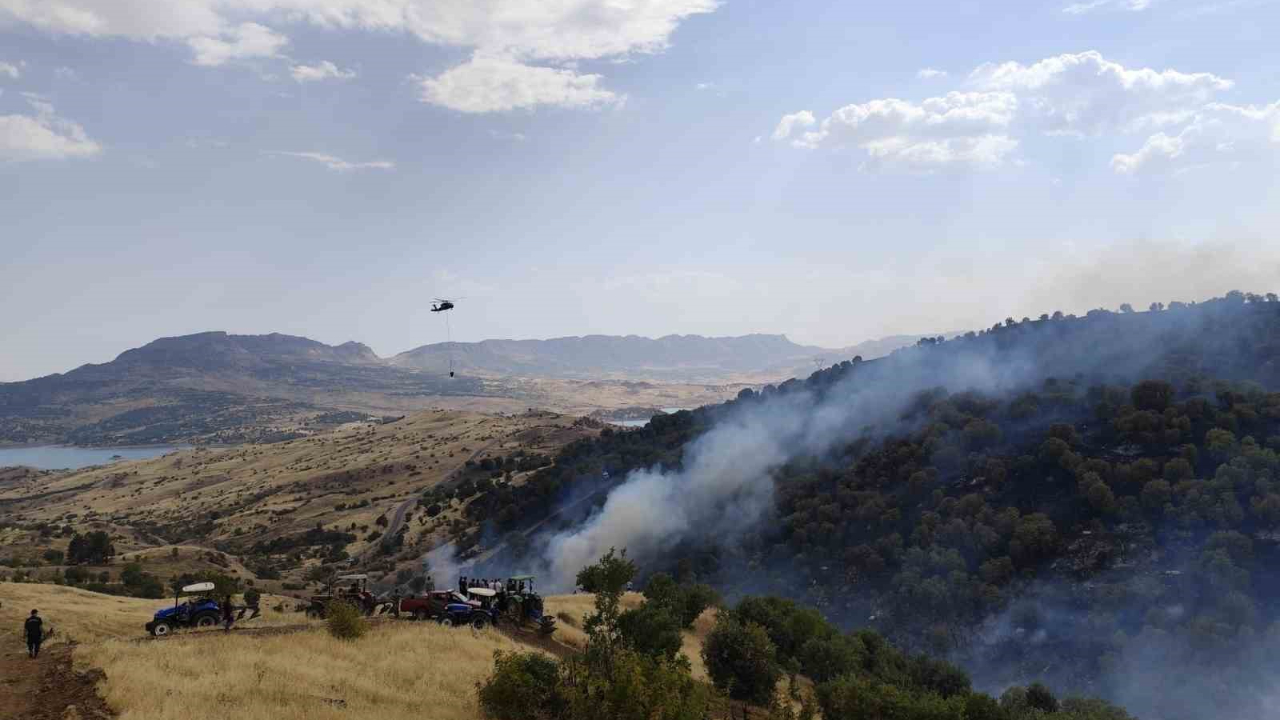 Adıyaman'da orman yangını