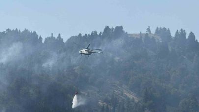 Orman yangını kontrol altına alındı