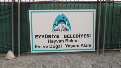 Eyyübiye'de 'Can dostlar' güvende