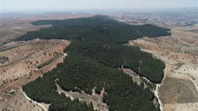 Şanlıurfa'da 'Ormana giriş yasağı' hatırlatması