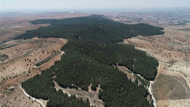 Şanlıurfa'da 'Ormana giriş yasağı' hatırlatması