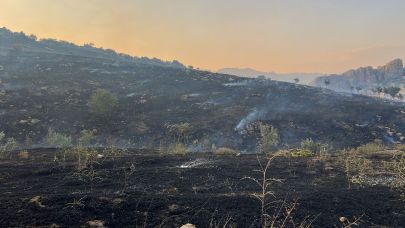 Merada başlayan yangın ormanlık alana yayıldı