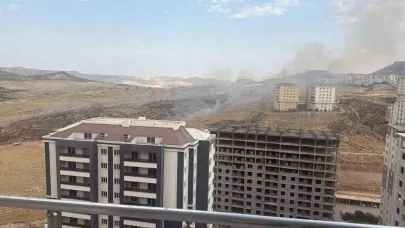 Otluk alanda çıkan yangın söndürüldü