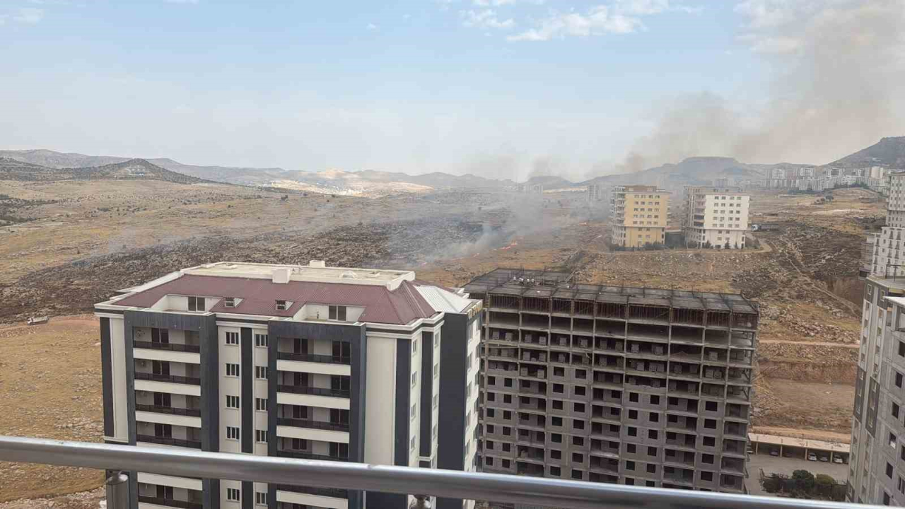 Otluk alanda çıkan yangın söndürüldü