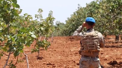 Jandarma "Urfa keten köyneği fıstığı" için nöbette