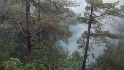 Çıkan orman yangını kontrol altına alındı