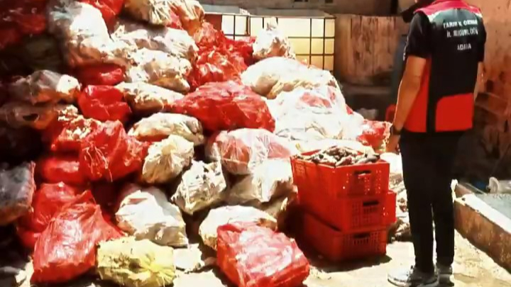 Adana’da binlerce kilo paça ele geçirildi