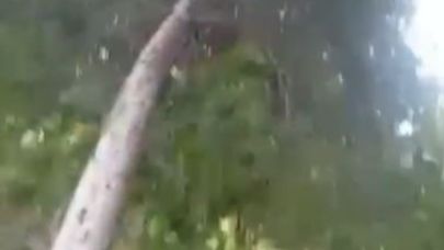 Siverek’te fırtına hayatı olumsuz etkiledi