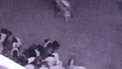 Ahıra giren kurt sürüye saldırdı: O anlar kamerada