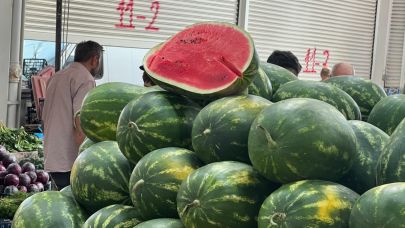 Yapay zeka pazara indi, karpuz seçimine başladı