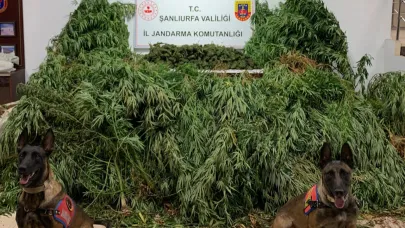 Sanlıurfa'da uyuşturucu operasyonu