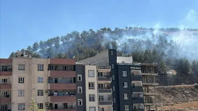 Şanlıurfa'da yangın: Çam ağaçları küle döndü