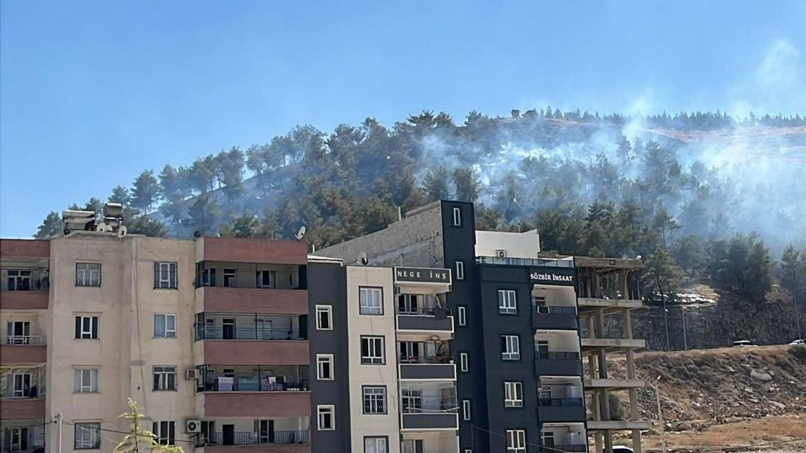 Şanlıurfa'da yangın: Çam ağaçları küle döndü