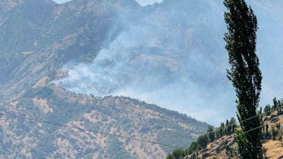 Orman yangını 9 saatte kontrol altına alındı