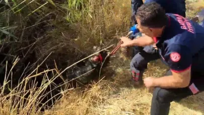 Kuyuya düşen keçi kurtarıldı