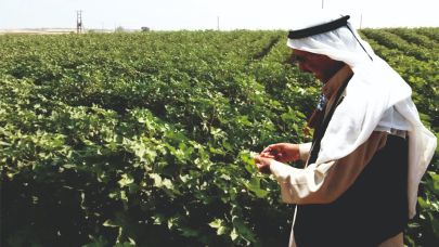 Şanlıurfa çiftçisine icra kıskacı geliyor