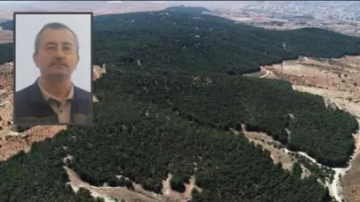 Şanlıurfa, ormanlık alan açısından en fakir il’iymiş !