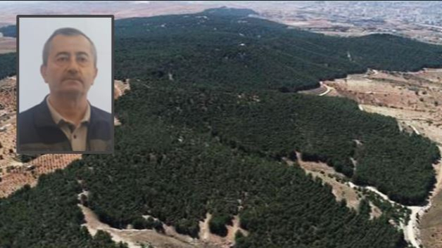 Şanlıurfa, ormanlık alan açısından en fakir il’iymiş !