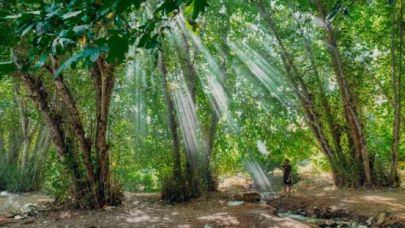 FLAŞ: Haftasonu o bölge piknikçilere kapalı !