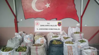Fıstık hırsızları amacına ulaşamadı