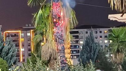 Palmiye ağacı ateşe verildi