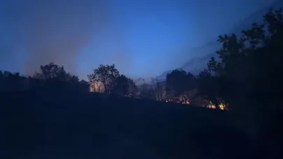 Ağaçlık alanda korkutan yangın: Alevlerin yaklaştığı ev tahliye edildi