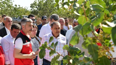 Vali Şıldak: Urfa, fıstık üretiminde birinci sırada (VİDEO)