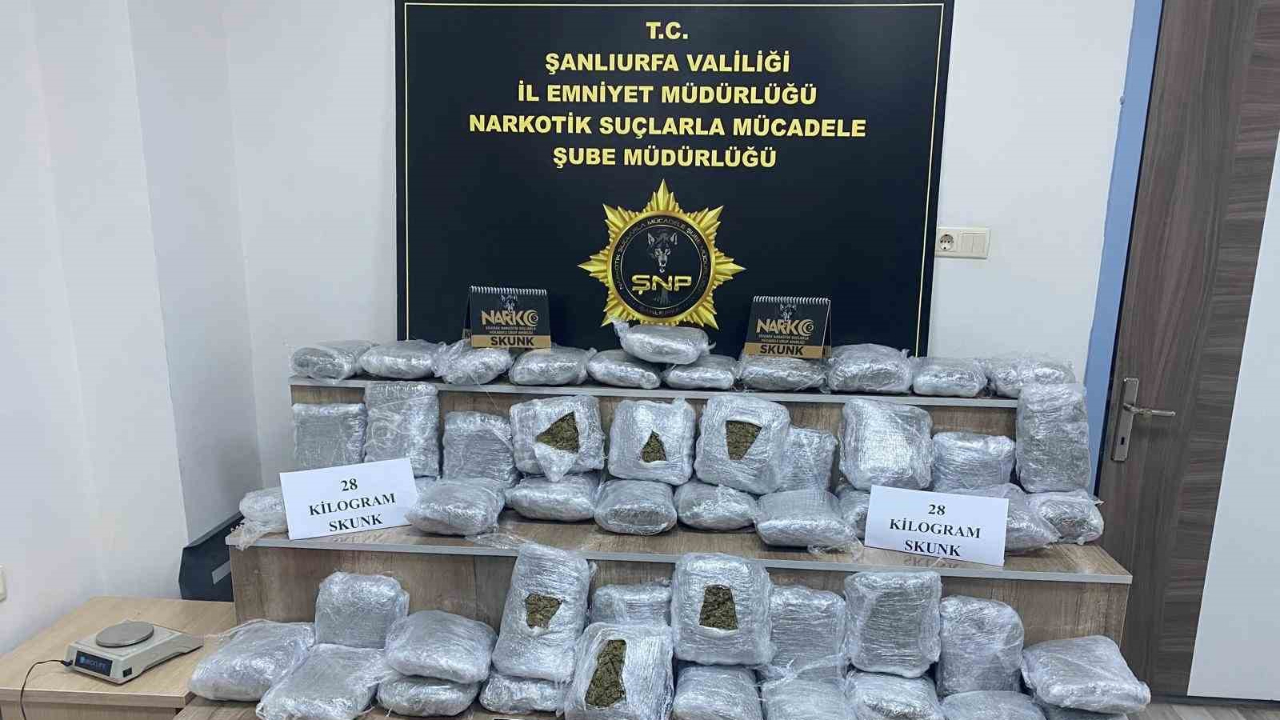 Siverek’te 28 kilo skunk ele geçirildi: 2 tutuklu
