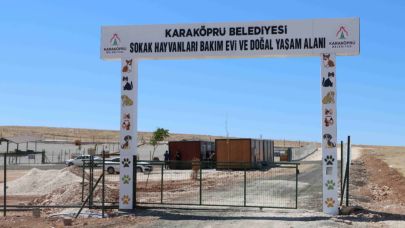 Karaköprü’de sokak hayvanları için bakımevi (VİDEO)