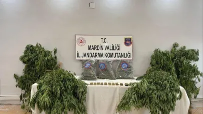 Uyuşturucu operasyonu: 1 tutuklama