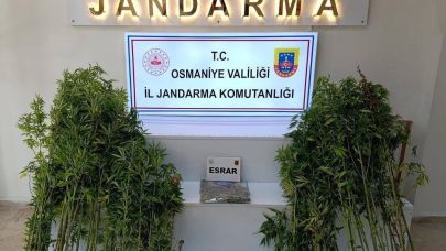 Bir haftada 121 şüpheli yakalandı