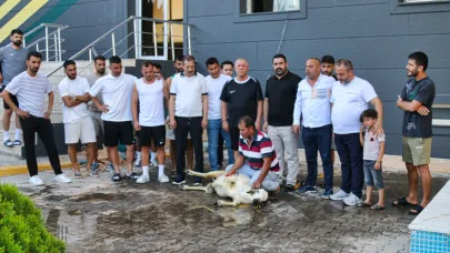 Şanlıurfaspor yeni sezon için kurban kesti