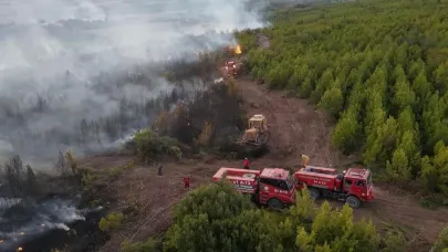 Çıkan orman yangını söndürüldü