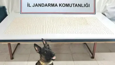 Şanlıurfa'da uyuşturucu operasyonu: 2 gözaltı