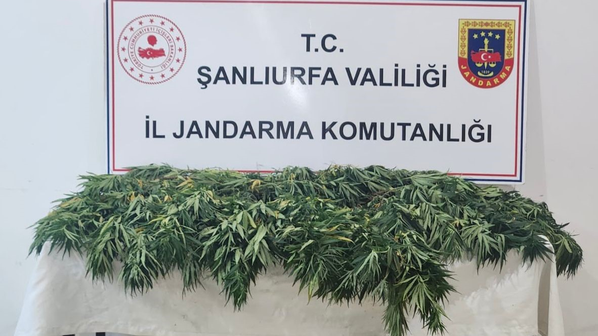 Şanlıurfa’da uyuşturucu operasyonu: 2 gözaltı