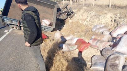 Birecik’te fıstık yüklü traktör şarampole devrildi