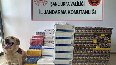 Tütün ve alkol kaçakçılarına operasyon