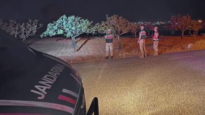 Jandarma, fıstık hırsızlarına karşı teyakkuzda