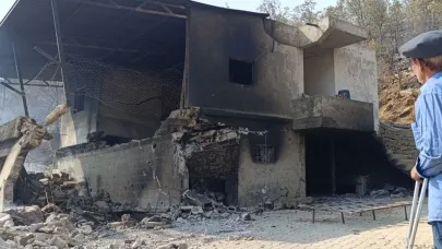Mersin yangını yürek yaktı: Evler yandı, hayvanlar telef oldu
