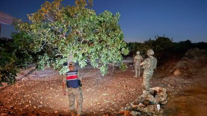 Jandarmanın fıstık nöbeti başladı