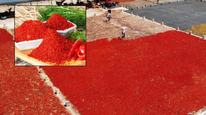 Acı isotun üretim serüveni başladı