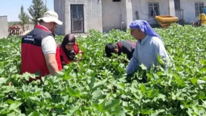 Tarım Müdürlüğü ekipleri hastalıklara karşı çiftçileri bilgilendiriyor