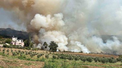 Osmaniye’de ormanlık alanda yangın çıktı