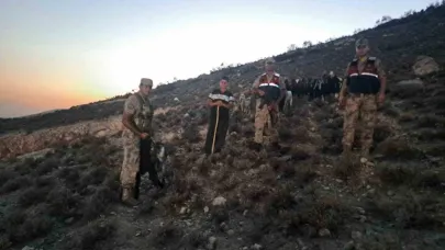 Kaybolan 26 küçükbaş hayvan bulundu