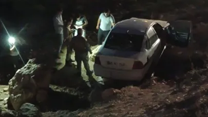 Sürücü köpeğe çarpmamak için direksiyonunu kırınca