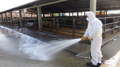 ŞAP'ın Şanlıurfa'ya faturası ağır oldu