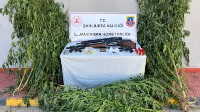 Jandarmadan uyuşturucu operasyonları: 6 gözaltı