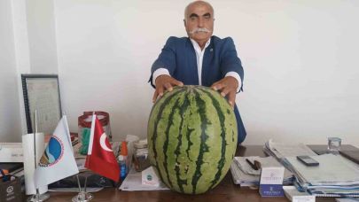 45 kiloluk karpuz dikkat çekti