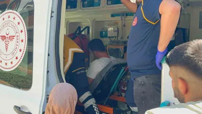 Otomobil ile kamyonet çarpıştı: 2 yaralı